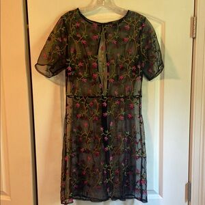 Forever 21 Sheer Black Dress with Floral Embroidery